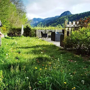 Les Camélias Le Mont-Dore